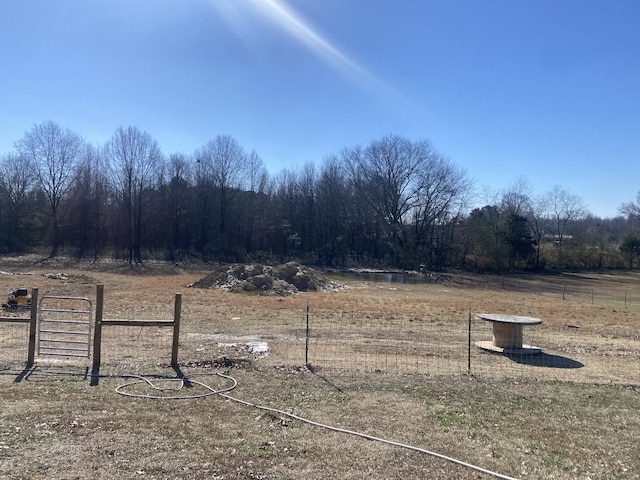 view of yard featuring a rural view