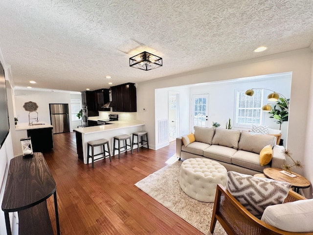 living room featuring dark hardwood / wood-style flooring, a textured ceiling, and sink