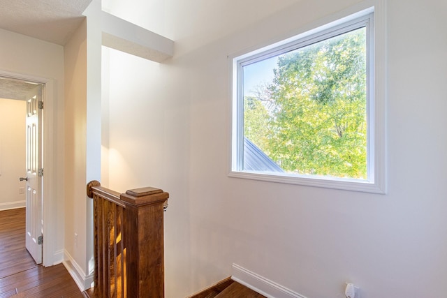 hall with dark wood-type flooring and a healthy amount of sunlight