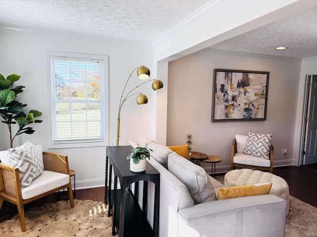 living room featuring dark hardwood / wood-style floors, crown molding, and a textured ceiling