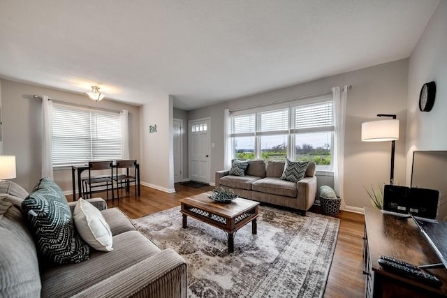 living room with hardwood / wood-style floors