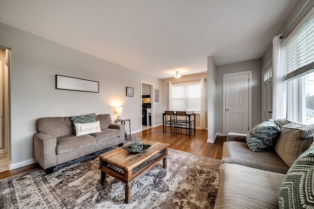 living room featuring hardwood / wood-style flooring