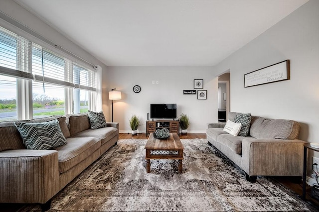 living room with hardwood / wood-style floors