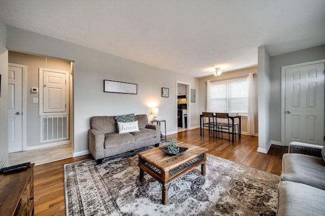 living room featuring wood-type flooring