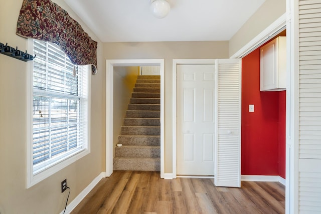 stairway featuring plenty of natural light and hardwood / wood-style floors