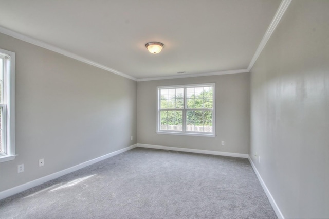 carpeted empty room with ornamental molding