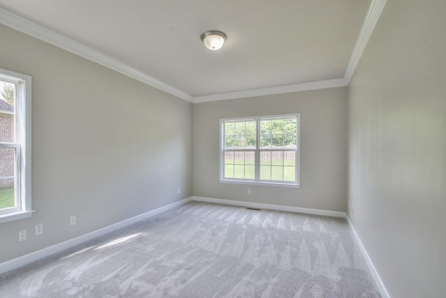 carpeted empty room with plenty of natural light and ornamental molding