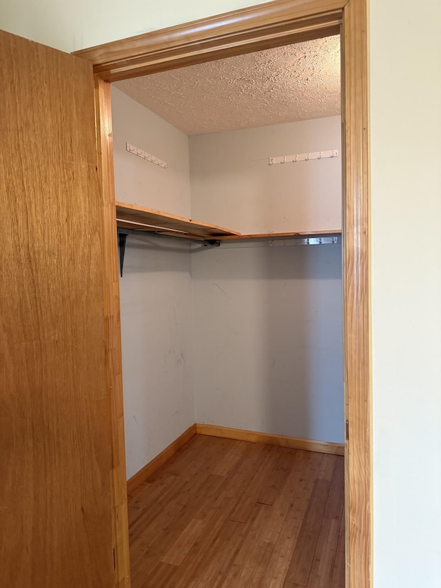 spacious closet with hardwood / wood-style floors