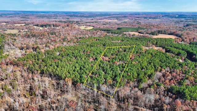 0 Albert Owens Rd, Bethel Springs TN, 38315 land for sale