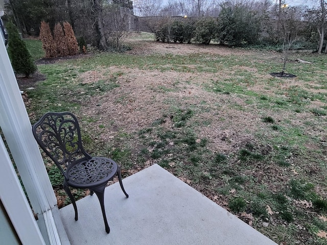 view of yard featuring a patio area