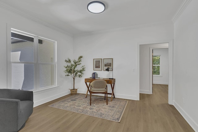 office area with hardwood / wood-style flooring and crown molding