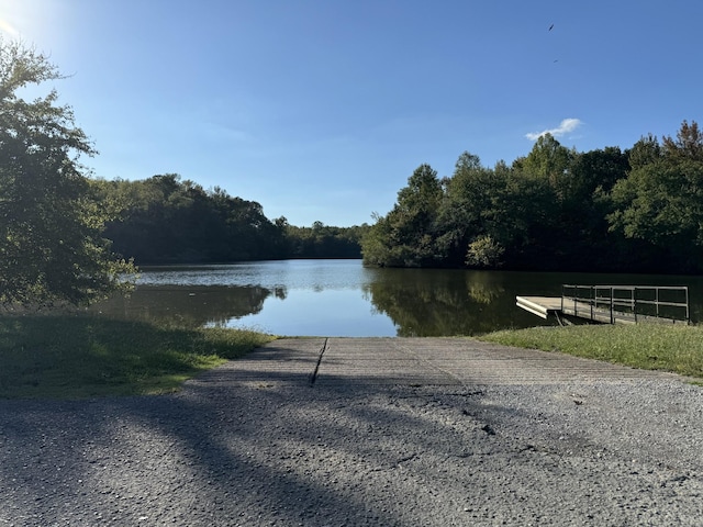 water view featuring a dock