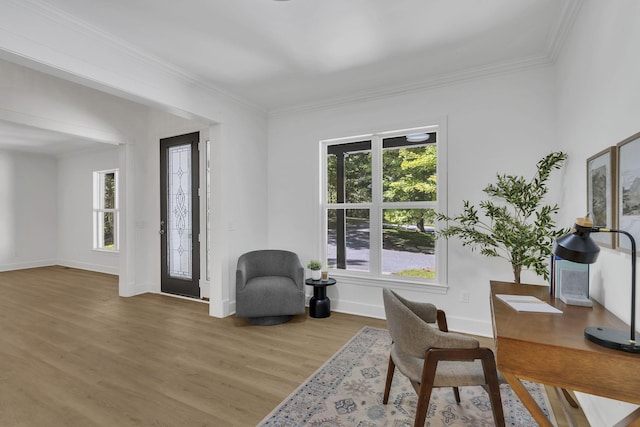 office with crown molding, plenty of natural light, and wood-type flooring