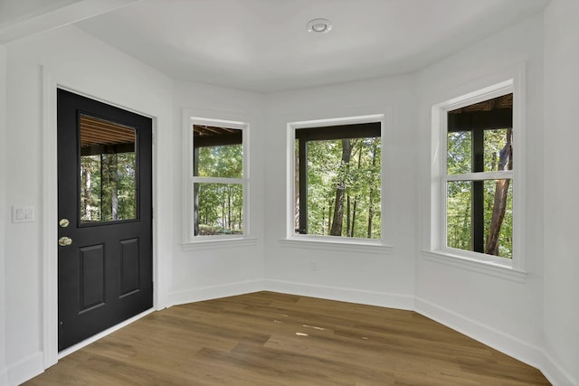 entryway featuring hardwood / wood-style flooring