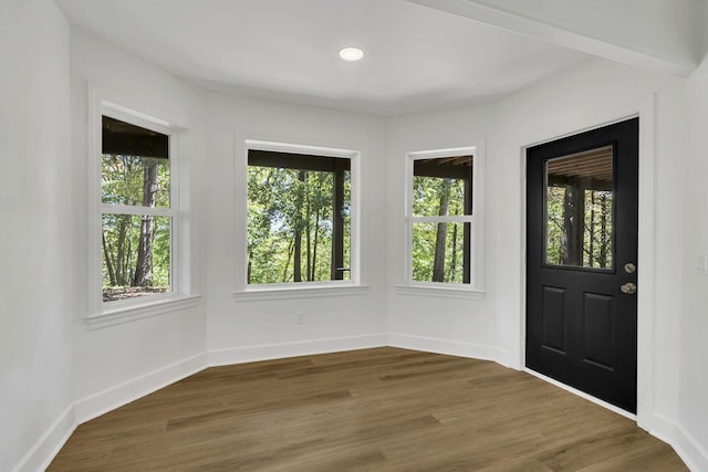 foyer featuring dark wood-type flooring