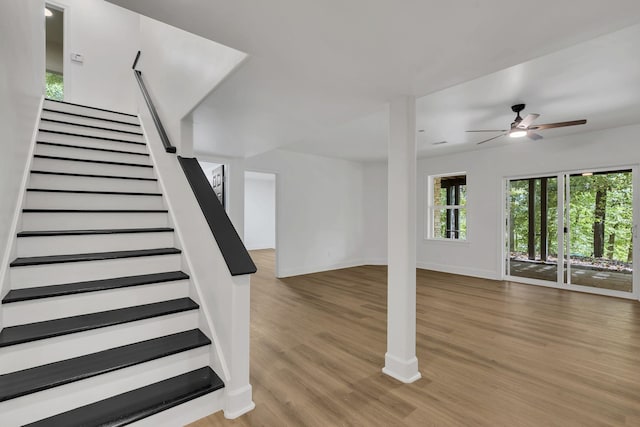 stairs with ceiling fan and hardwood / wood-style floors