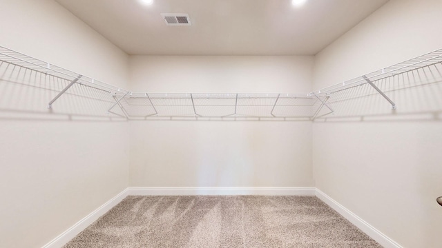 spacious closet with carpet flooring