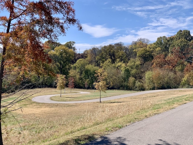 view of road