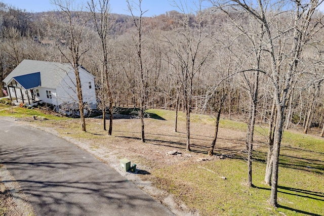 Listing photo 2 for 0 Wilson Cir, Smithville TN 37166