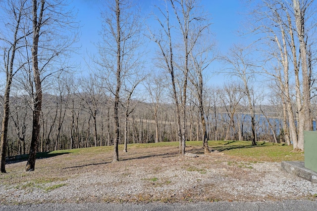 0 Wilson Cir, Smithville TN, 37166 land for sale