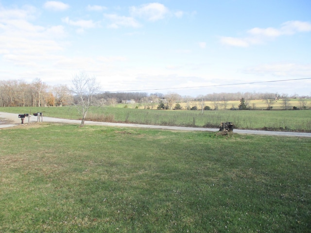 view of yard featuring a rural view