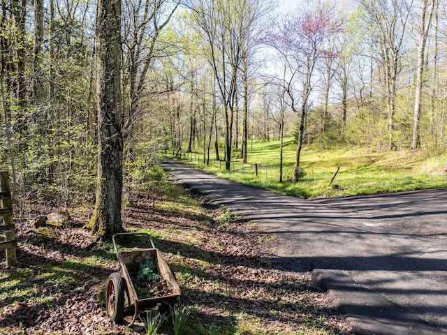 view of road