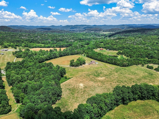 birds eye view of property featuring a mountain view