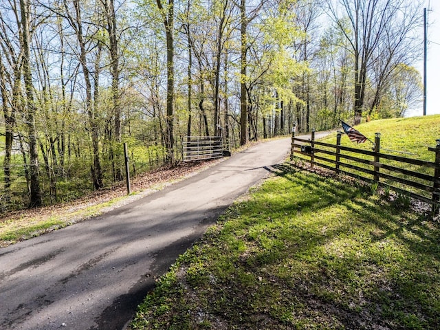 view of road