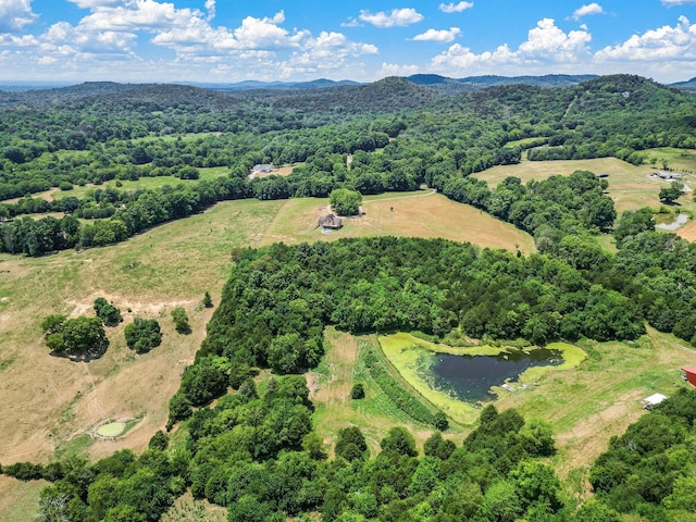 bird's eye view with a water and mountain view