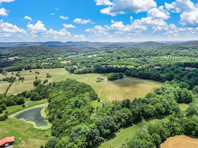 birds eye view of property featuring a water and mountain view