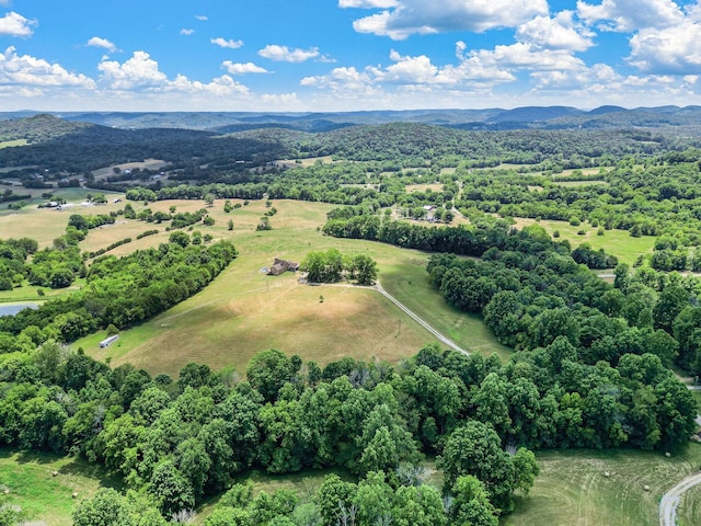 drone / aerial view featuring a mountain view