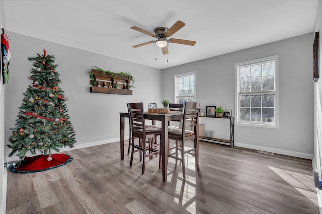 dining area with ceiling fan and wood-type flooring