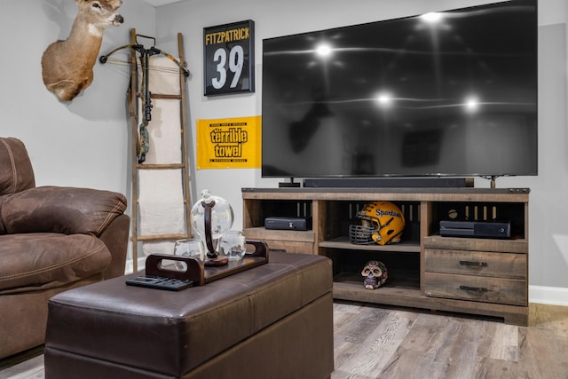 living room featuring hardwood / wood-style floors