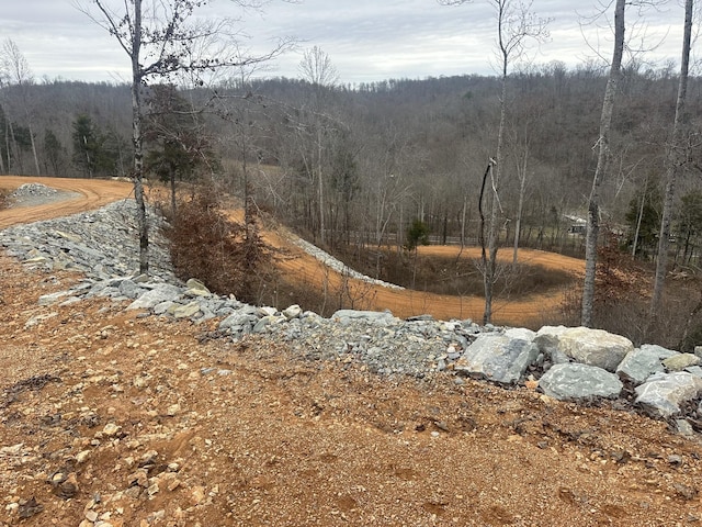 975 Weakley Creek Rd E, Lawrenceburg TN, 38464 land for sale