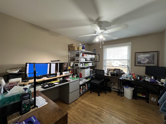 office space featuring hardwood / wood-style flooring and ceiling fan