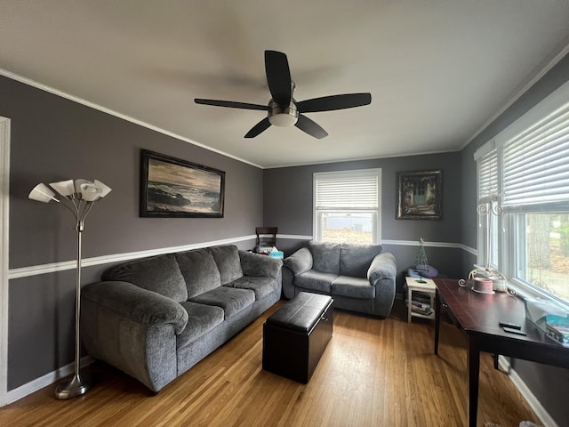 living room with ceiling fan, wood-type flooring, and crown molding