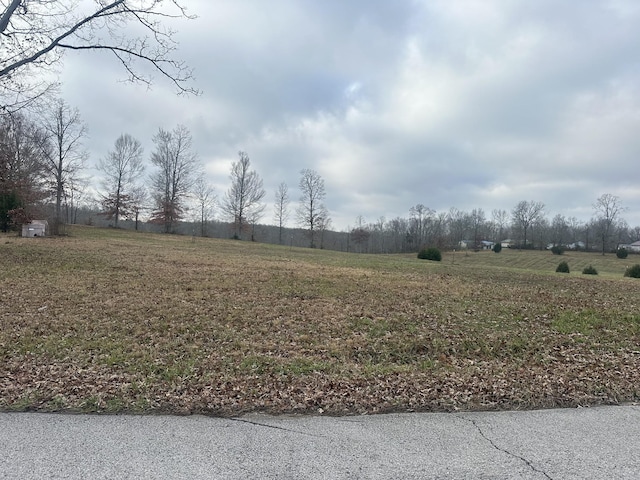 0 Woodland Ave, Lawrenceburg, TN 38464