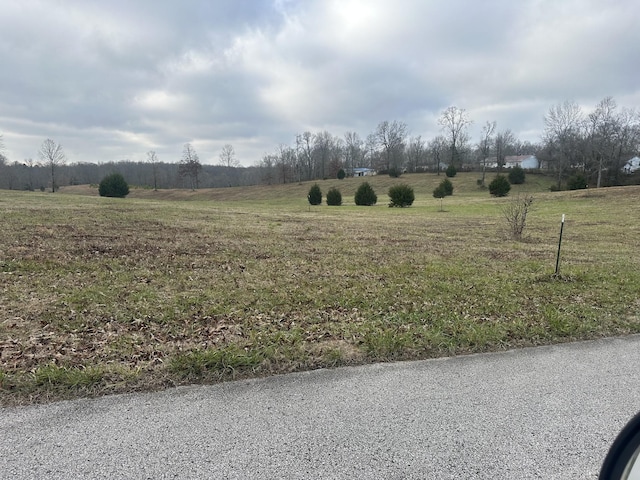 0 Woodland Ave, Lawrenceburg, TN 38464