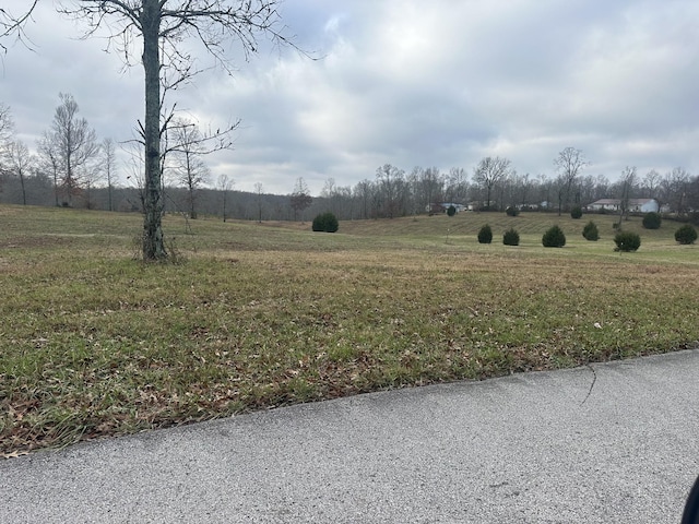 0 Woodland Ave, Lawrenceburg, TN 38464