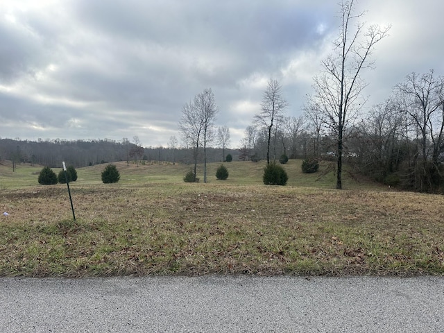 0 Woodland Ave, Lawrenceburg, TN 38464
