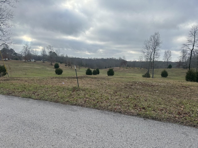 0 Woodland Ave, Lawrenceburg, TN 38464