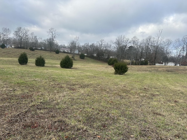 0 Woodland Dr, Lawrenceburg TN, 38464 land for sale