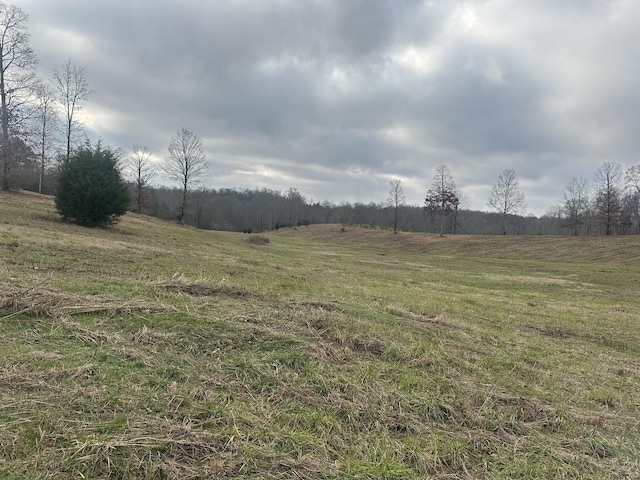 0 Woodland Ave, Lawrenceburg, TN 38464