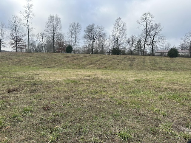 0 Woodland Ave, Lawrenceburg, TN 38464