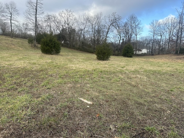 0 Woodland Ave, Lawrenceburg, TN 38464