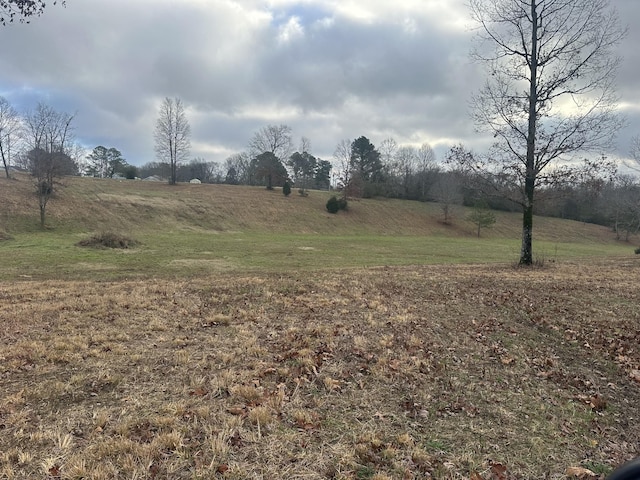0 Woodland Ave, Lawrenceburg, TN 38464