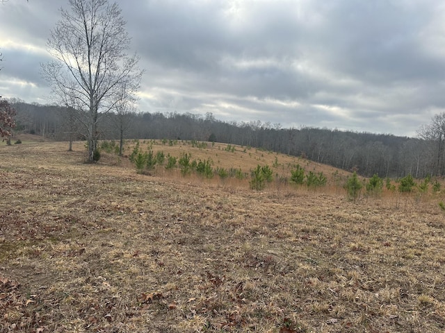 0 Woodland Ave, Lawrenceburg, TN 38464