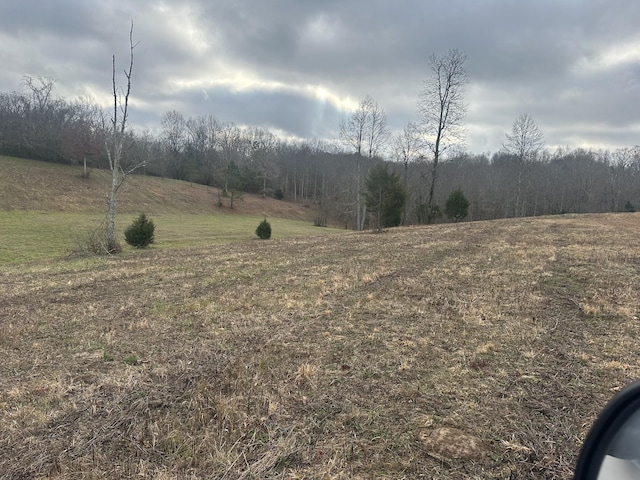 0 Woodland Ave, Lawrenceburg, TN 38464