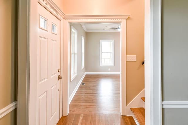 interior space with light hardwood / wood-style floors, ceiling fan, and ornamental molding