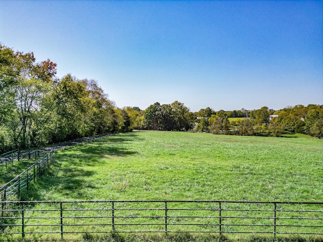 view of yard featuring a rural view